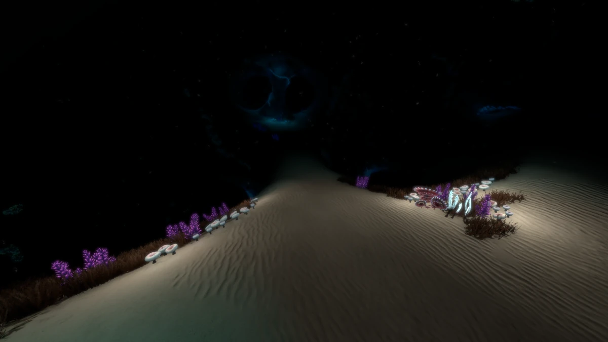 Sea Treader's Tunnel Caves